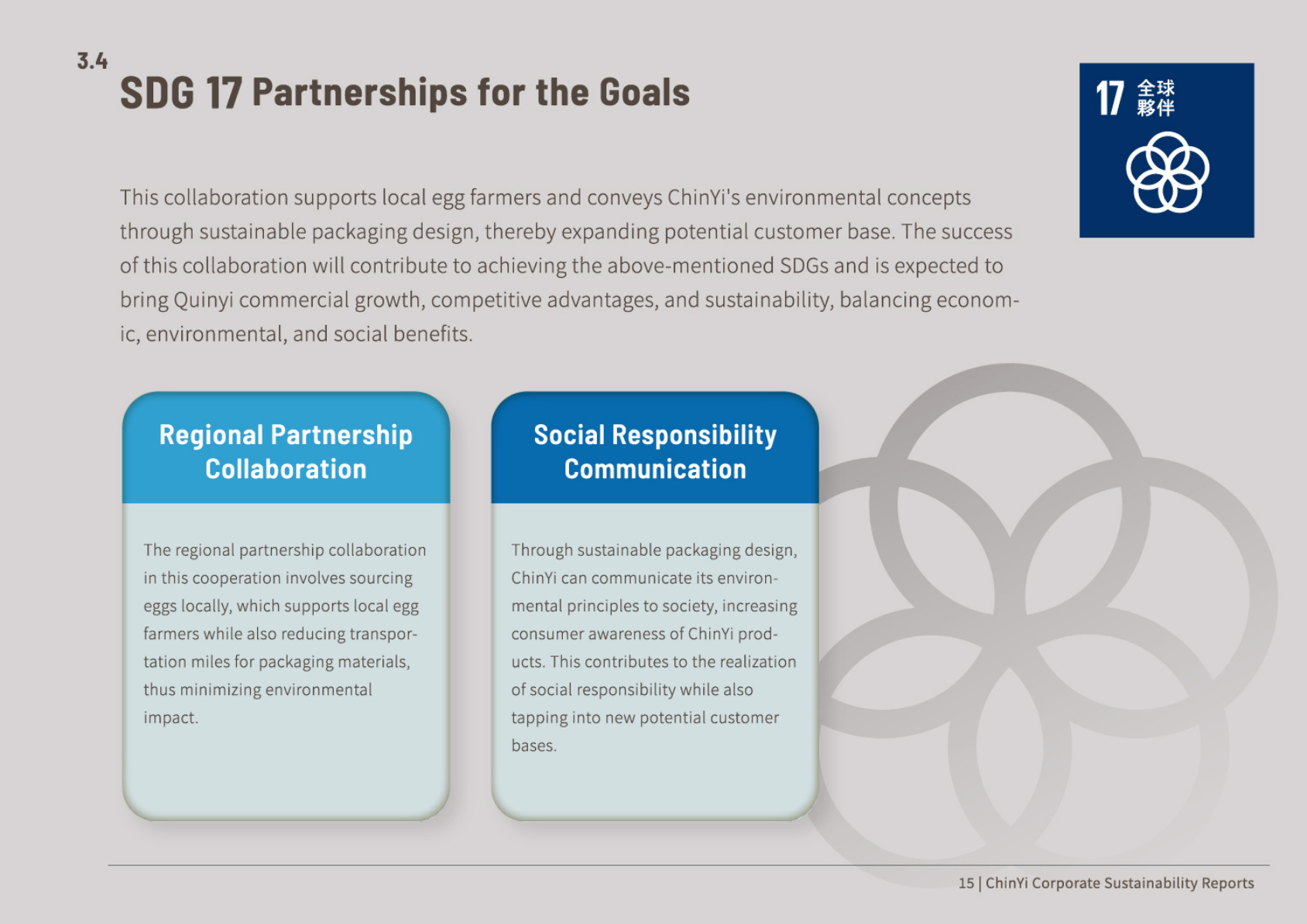 SDG 17 Partnerships